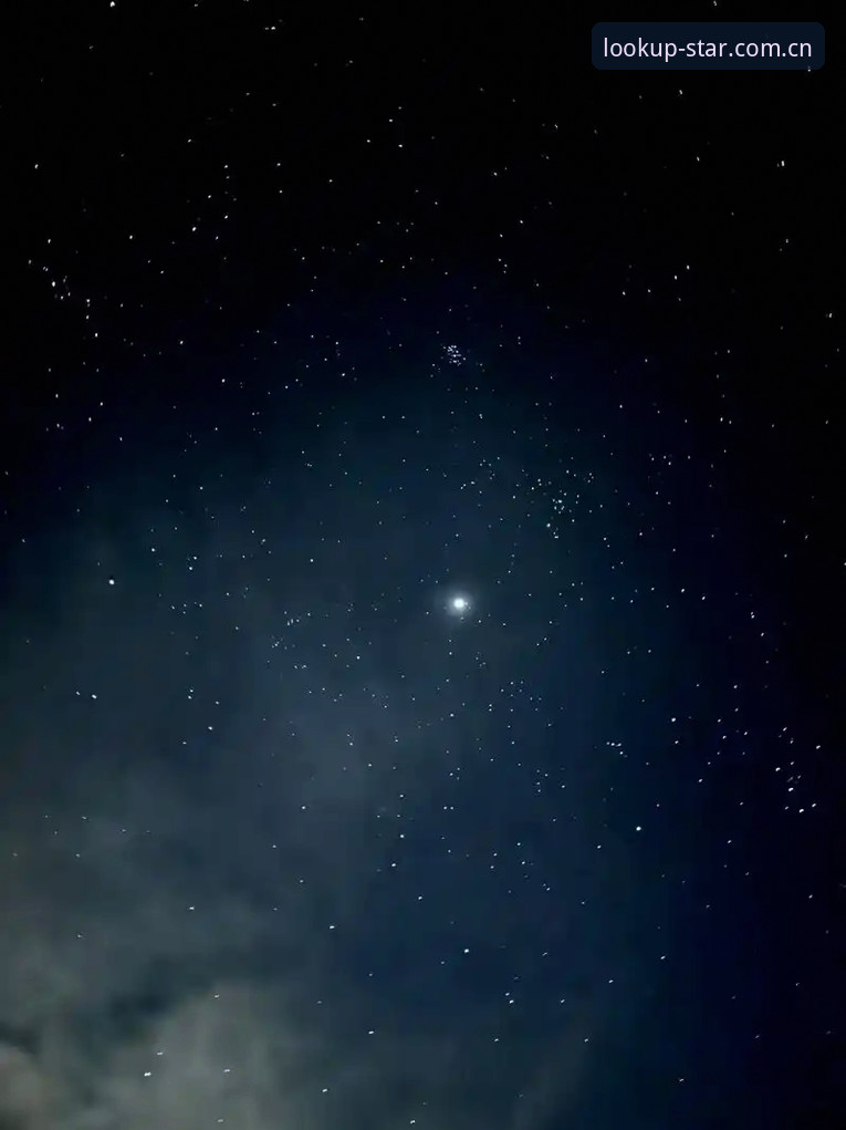 星空自在仰望版棋牌推荐 为什么说星空自在仰望版是棋牌玩家的“赛事数据替代站”?